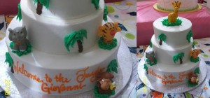 Tripolis Childrens Birthday Cake